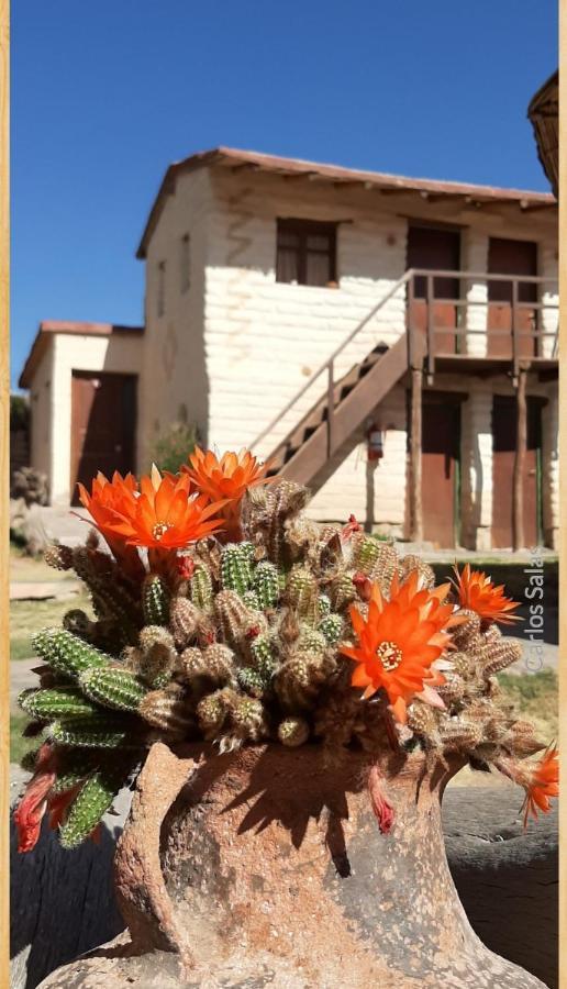 El Sol Hostel De Humahuaca Eksteriør billede